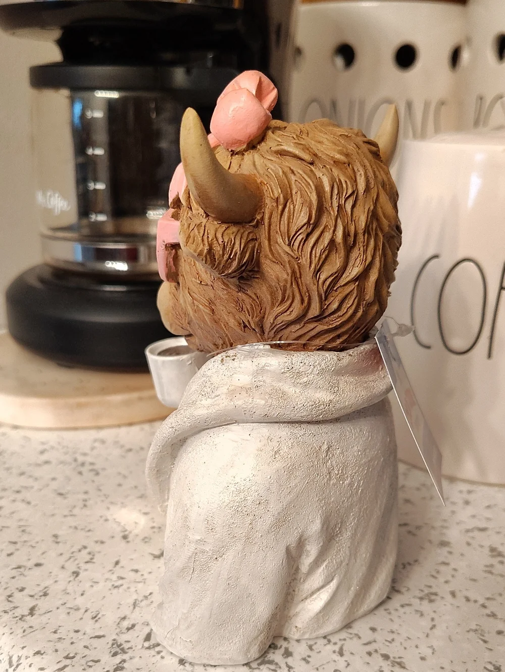 Highland Cow